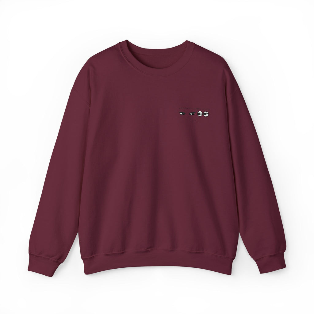 Sharing Side Eyes Embroidery Sweatshirt