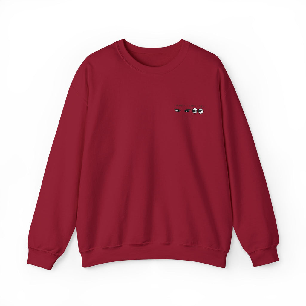 Sharing Side Eyes Embroidery Sweatshirt